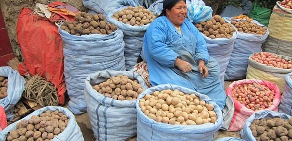  VENTA. Una comerciante ofrece una variedad de papas. - Olga Martha Montiel