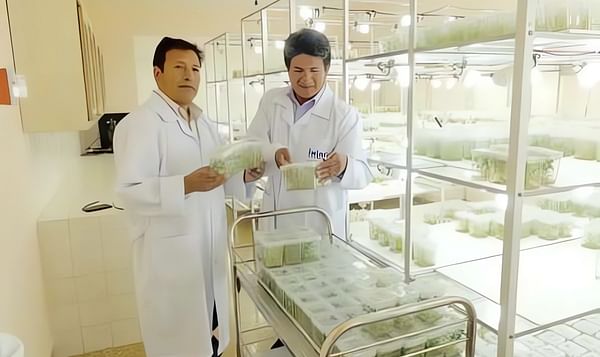 Juan Villegas, Coordinador Nacional del Programa Papa, y Oscar Altamirano, biotecnólogo, en la entrega de vitro-plantas de papa.