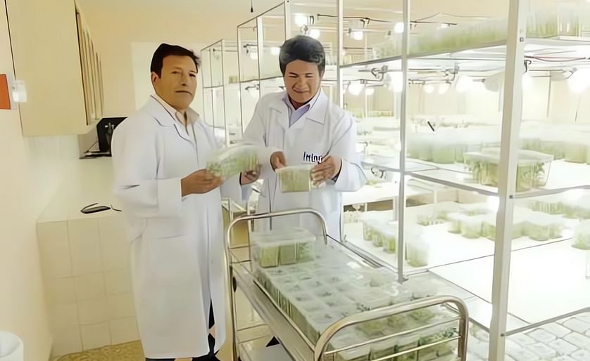 Juan Villegas, Coordinador Nacional del Programa Papa, y Oscar Altamirano, biotecnólogo, en la entrega de vitro-plantas de papa.
