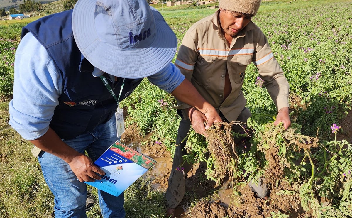 Bolivia: sequía, granizo, indundaciones e incendios Bolivia: sequía, granizo, indundaciones e incendios
