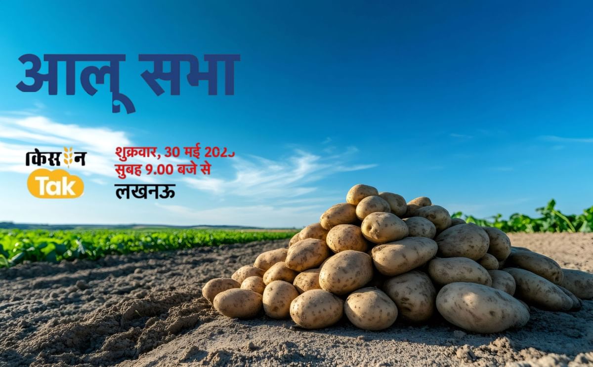 International Potato Day 2025: Aloo Sabha Brings Together Farmers and Innovators International Potato Day 2025: Aloo Sabha Brings Together Farmers and Innovators