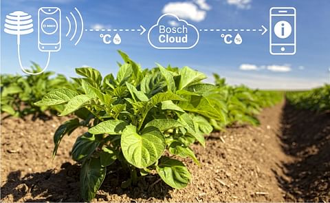 Data on temperature and humidity in a potato field are relayed by the sensor system to the Bosch IoT Cloud. There, the farmer can access these data using an app on his phone (Courtesy: Fotolia/Steffen Eichner | Bosch) Data on temperature and humidity in a potato field are relayed by the sensor system to the Bosch IoT Cloud. There, the farmer can access these data using an app on his phone (Courtesy: Fotolia/Steffen Eichner | Bosch)