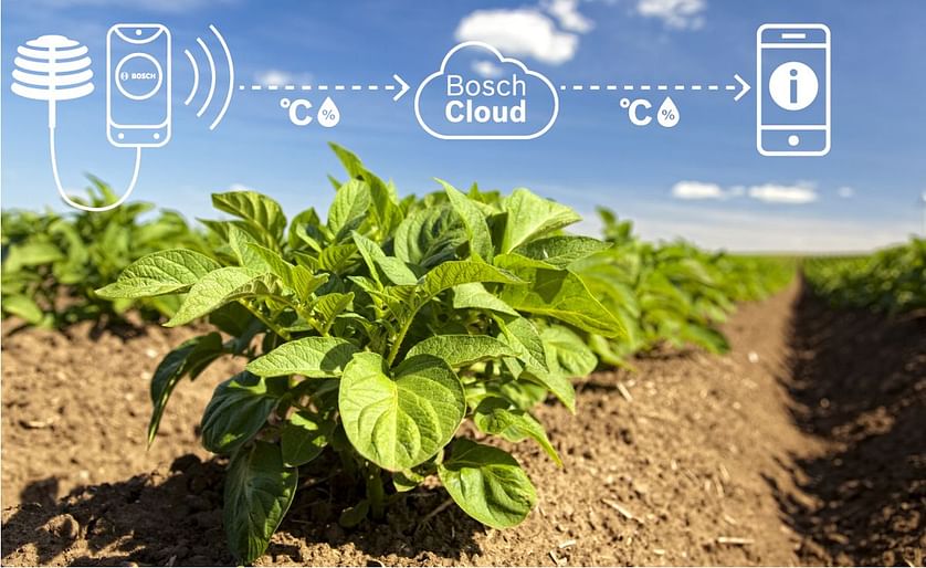 Data on temperature and humidity in a potato field are relayed by the sensor system to the Bosch IoT Cloud. There, the farmer can access these data using an app on his phone (Courtesy: Fotolia/Steffen Eichner | Bosch)