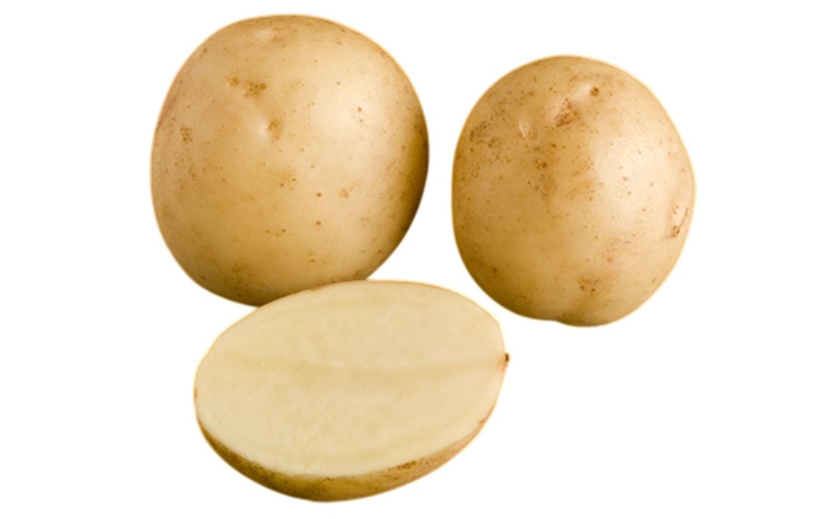 BOUNTY BOUNTY