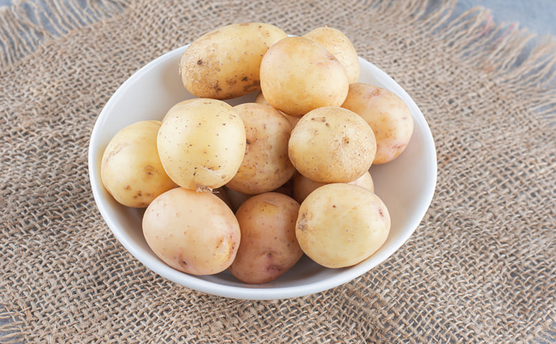 Perfectly Shaped Tubers Ready for Chipping Perfectly Shaped Tubers Ready for Chipping