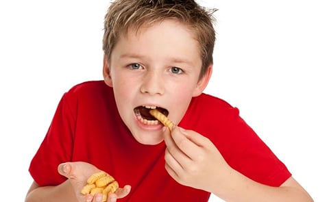 The science of taste: why you choose fries over broccoli The science of taste: why you choose fries over broccoli
