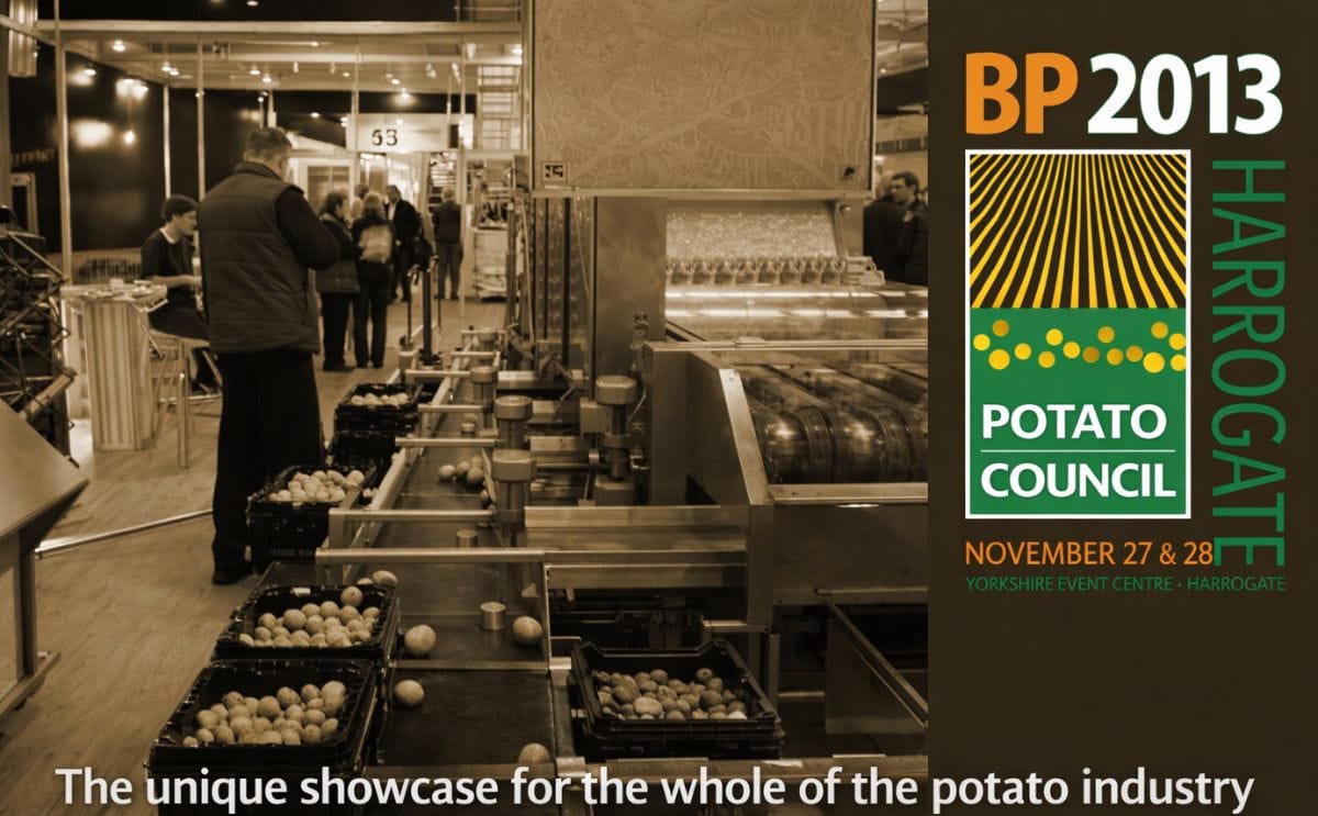 ‘Great atmosphere’ as crowds flock to BP2013