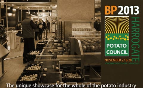 ‘Great atmosphere’ as crowds flock to BP2013 ‘Great atmosphere’ as crowds flock to BP2013