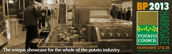 ‘Great atmosphere’ as crowds flock to BP2013