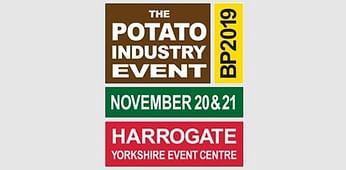British Potato (BP2019)