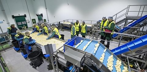 Partnership between Tesco and Branston helps to reduce potato waste