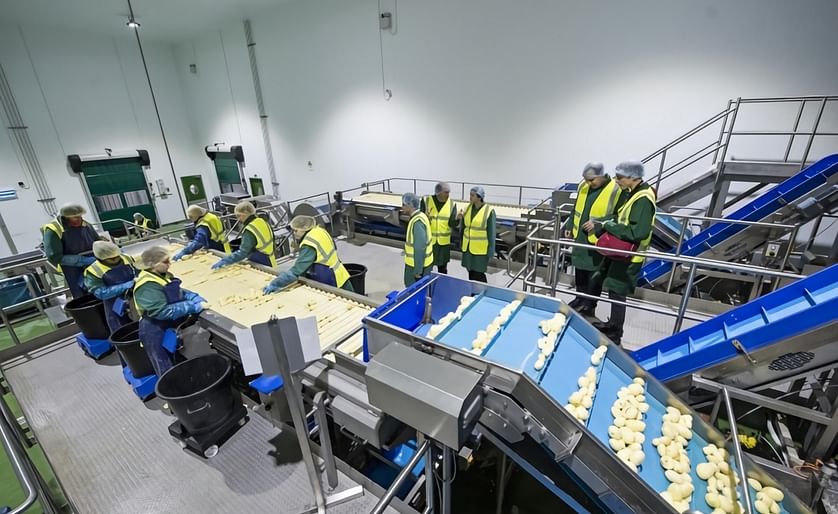 The Branston prepared foods factory expansion includes the introduction of two new batch peeling lines, making it one of  the largest peeling and processing facilities in the United Kingdom.(Courtesy: Branston)