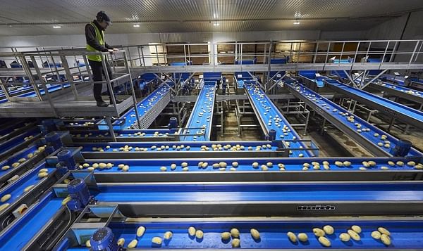 UK potato packer Branston plans expansion