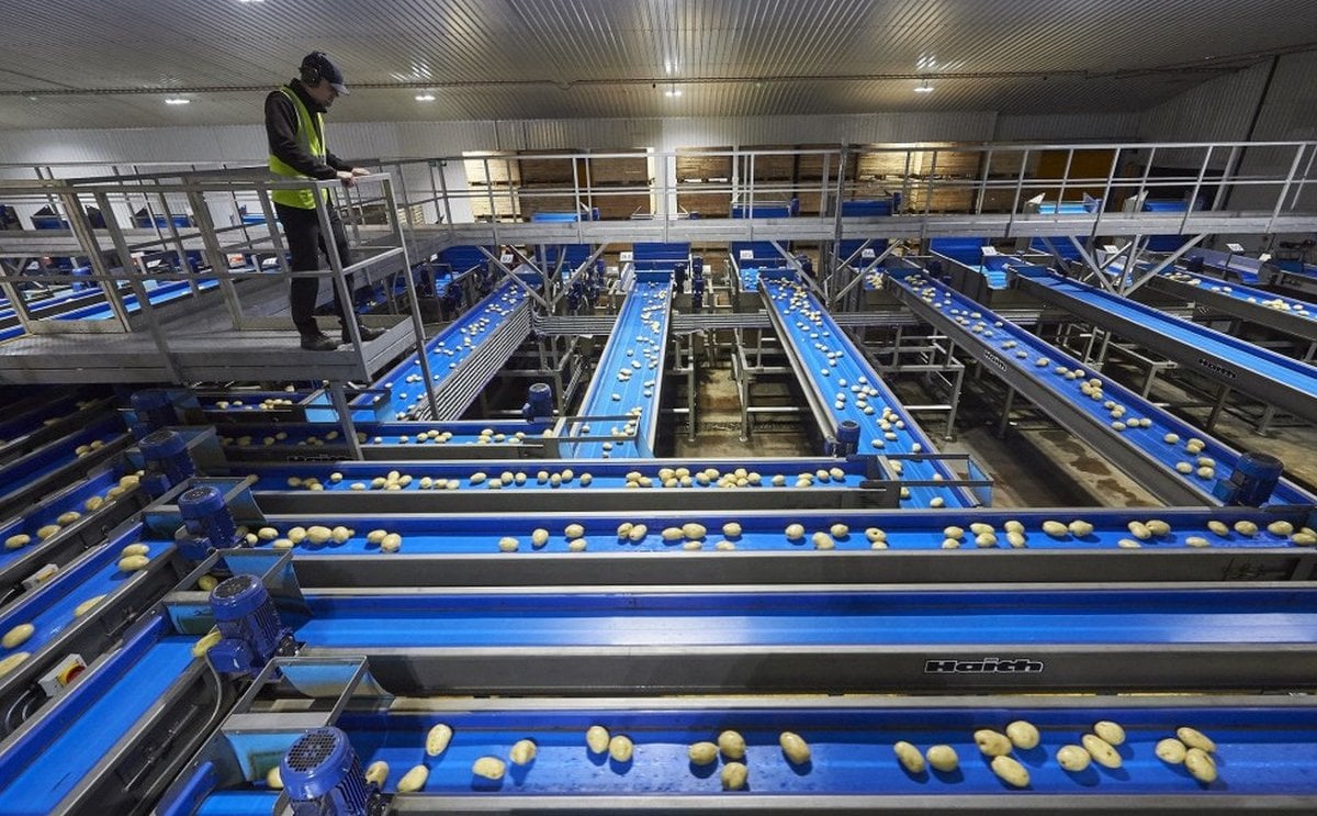 UK potato packer Branston plans expansion UK potato packer Branston plans expansion