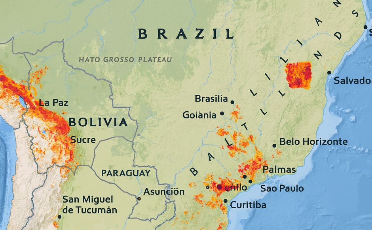 US Potato Growers Take Advantage of Opening of Brazilian Seed Potato Market