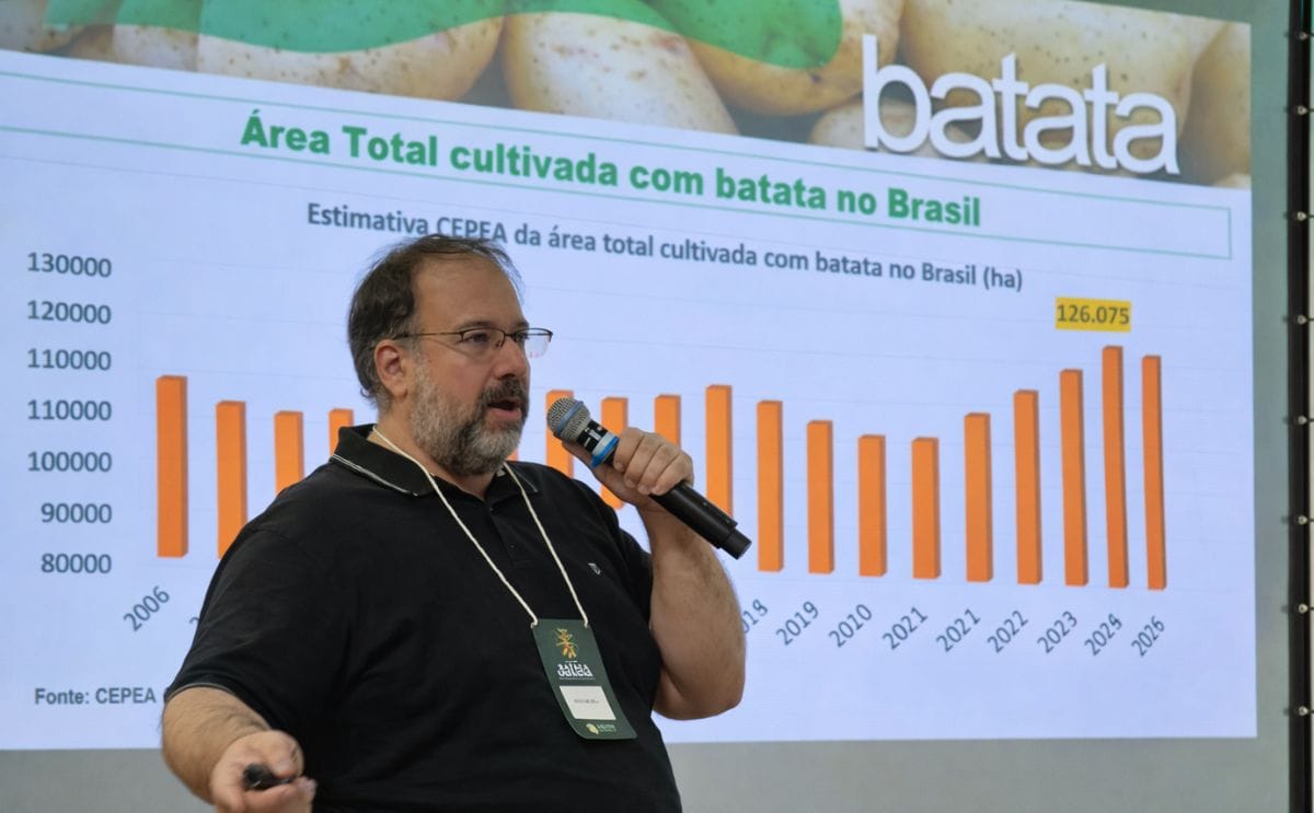 El sector papero brasileño se ajusta con menor superficie y mayor productividad para sostener la rentabilidad. El sector papero brasileño se ajusta con menor superficie y mayor productividad para sostener la rentabilidad.