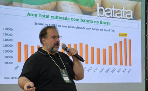 El sector papero brasileño se ajusta con menor superficie y mayor productividad para sostener la rentabilidad. El sector papero brasileño se ajusta con menor superficie y mayor productividad para sostener la rentabilidad.