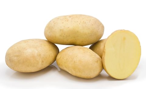 BRICATA KWS BRICATA KWS