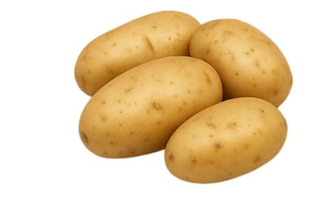 BRISTOL PRIDE BRISTOL PRIDE