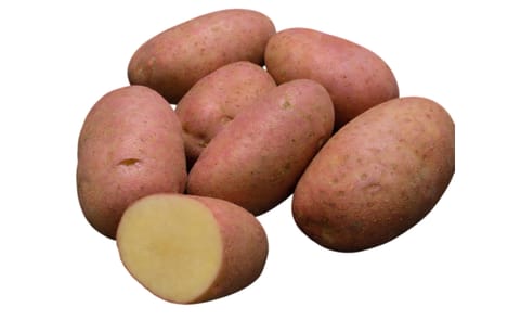 BRS F183 (Potira) BRS F183 (Potira)