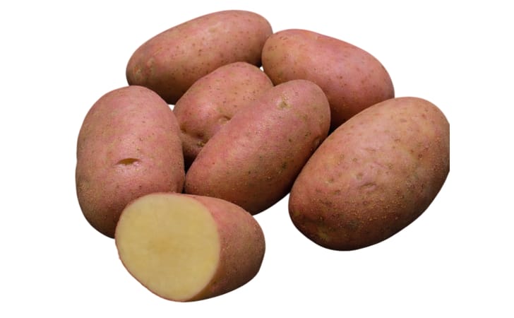 BRS F183 (Potira) BRS F183 (Potira)