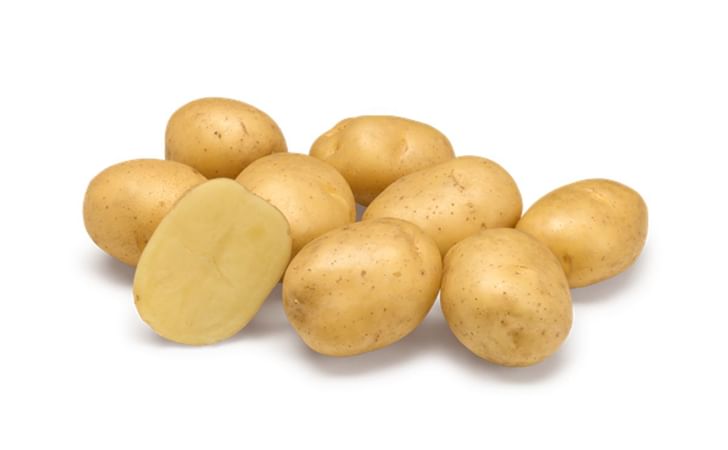 BUBBLE SUN BUBBLE SUN