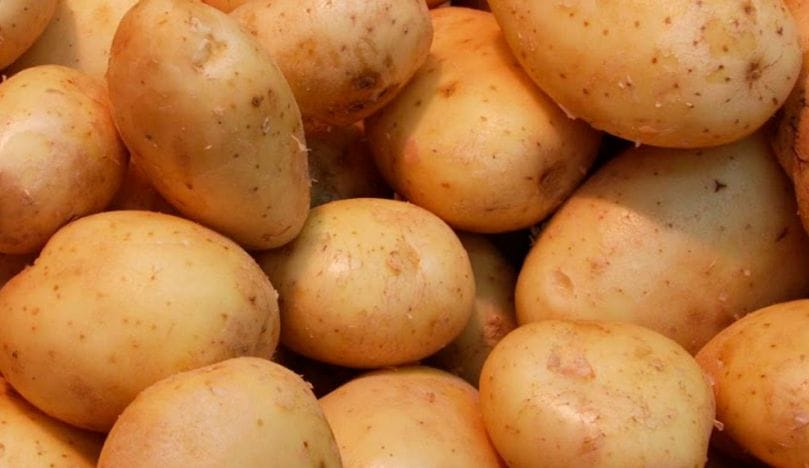 Buenas expectativas para el sector de la papa en Argentina