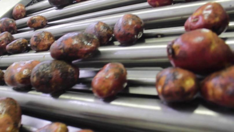 Buenos Aires tendrá otra planta para el lavado de papas