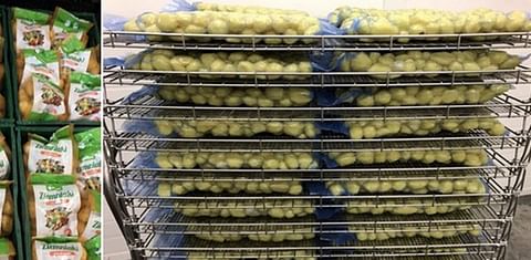 Polish potato season very challenging, shortages made imports necessary