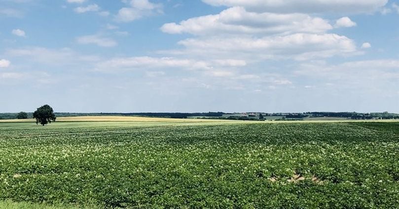 The North of Poland was spared from some of the extreme weather conditions. 