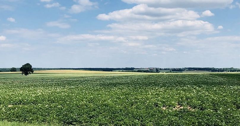 The North of Poland was spared from some of the extreme weather conditions. 