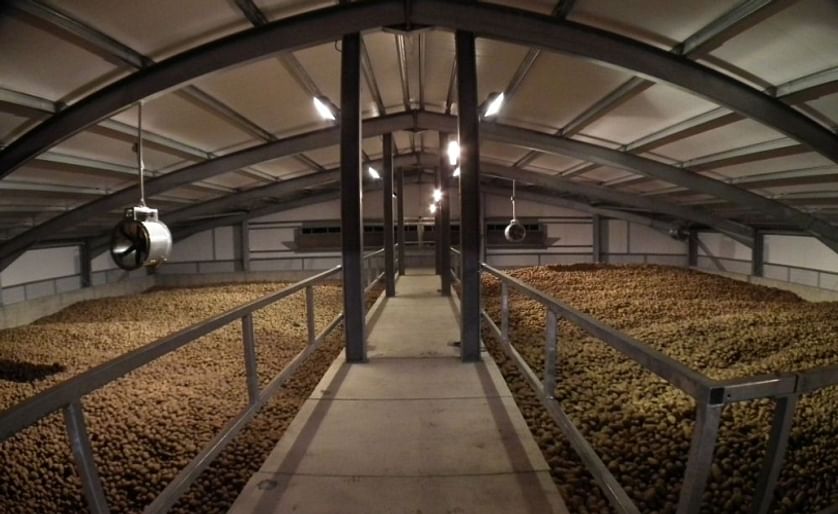 Bulk potato storage for processing potatoes in the United Kingdom (Courtesy: Crop Systems Ltd)