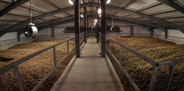 Case study: How to build a potato storage facility