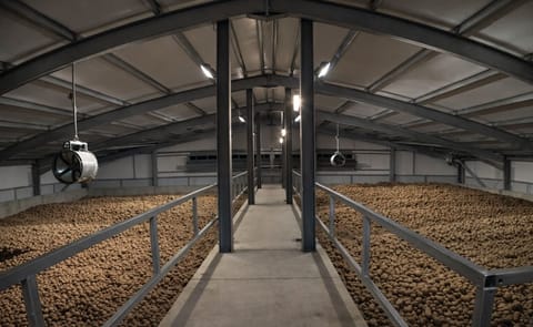 The completed bulk potato storage for processing potatoes in the United Kingdom (Courtesy: Crop Systems Ltd) The completed bulk potato storage for processing potatoes in the United Kingdom (Courtesy: Crop Systems Ltd)