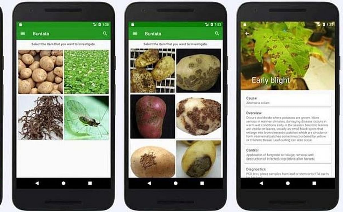 Buntata: a new tool to identify potato pests and diseases on the go Buntata: a new tool to identify potato pests and diseases on the go