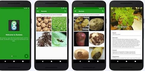 Buntata: a new tool to identify potato pests and diseases on the go