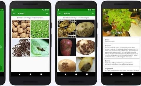 Buntata is a collaborative effort between the University of St Andrews and the James Hutton Institute to enable open access to our information resources and put them at the fingertips of potato growers. Buntata is a collaborative effort between the University of St Andrews and the James Hutton Institute to enable open access to our information resources and put them at the fingertips of potato growers.