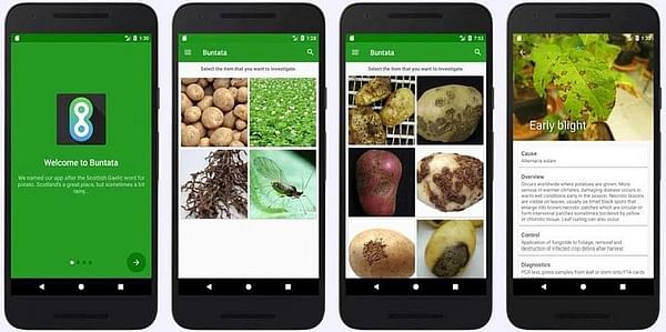 Buntata: a new tool to identify potato pests and diseases on the go