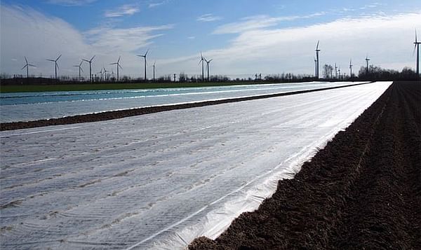 First potatoes planted in Saxony, Germany