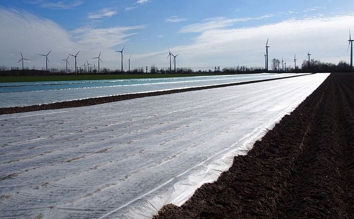 First potatoes planted in Saxony, Germany First potatoes planted in Saxony, Germany