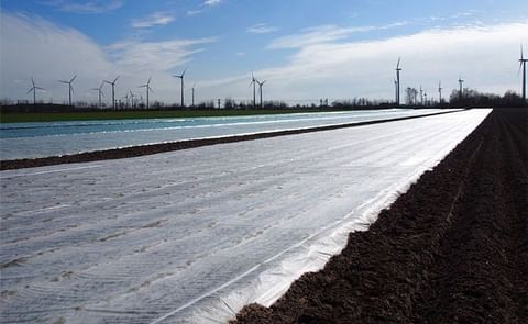 First potatoes planted in Saxony, Germany First potatoes planted in Saxony, Germany