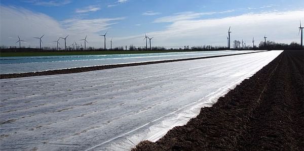 First potatoes planted in Saxony, Germany