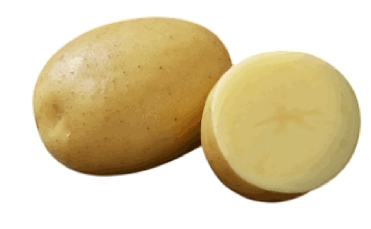 BUTTER GOLDS BUTTER GOLDS
