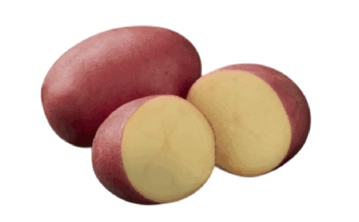 BUTTER REDS BUTTER REDS