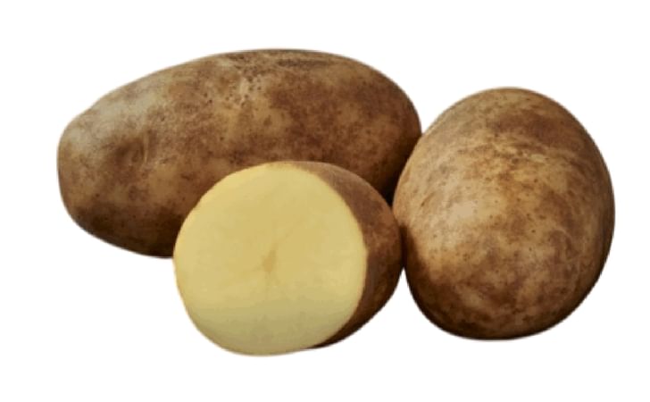 Butter Russets Butter Russets