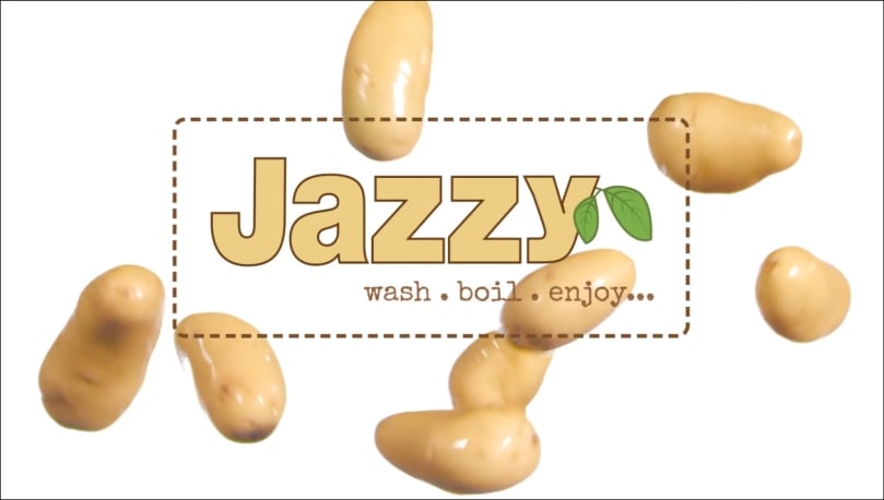 Introduction of the Jazzy Baby Potato Introduction of the Jazzy Baby Potato