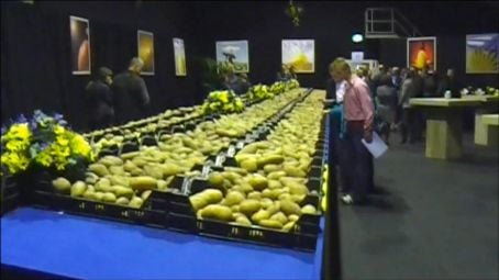 Uitgebreide impressie aardappelrassenshow bij Meijer BV door Rinus van Wezel. Uitgebreide impressie aardappelrassenshow bij Meijer BV door Rinus van Wezel.