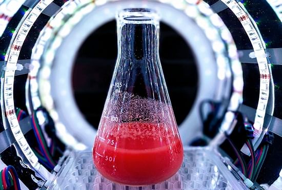 C16 Biosciences has created an alternative to natural palm oil by using fermentation to brew a synthetic version.