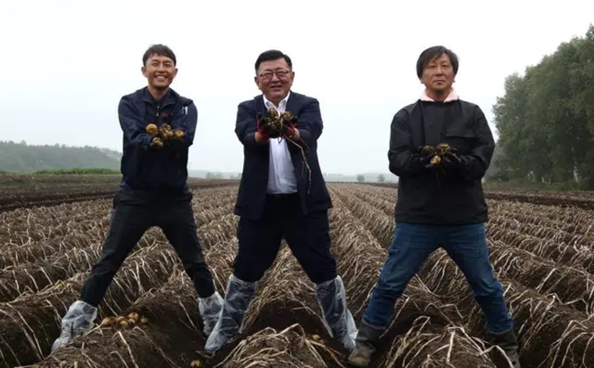 Kazuya Tasaki, President of Calbee Potato (center), Yasufumi Komagata, Manager of the Kawanishi Branch of Calbee Potato (left), Satoshi Sato, Chairman of the Obihiro City Kawanishi Processed Potato Production Cooperative (right) Kazuya Tasaki, President of Calbee Potato (center), Yasufumi Komagata, Manager of the Kawanishi Branch of Calbee Potato (left), Satoshi Sato, Chairman of the Obihiro City Kawanishi Processed Potato Production Cooperative (right)