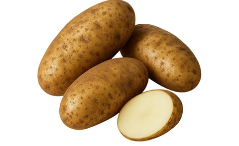 CALIFORNIA RUSSET CALIFORNIA RUSSET